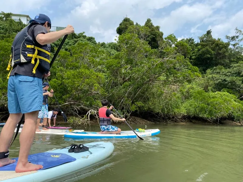比謝川のマングローブ林